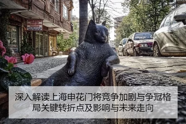 深入解读上海申花门将竞争加剧与争冠格局关键转折点及影响与未来走向